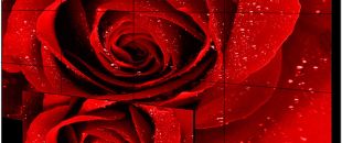  小間距LED屏的像素這么密，是怎么做到不出現(xiàn)顏色偏差的呀？